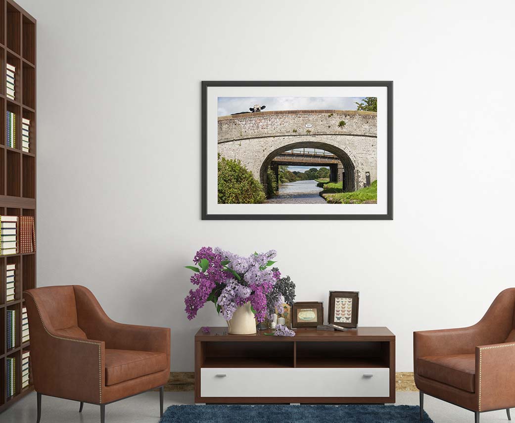 Cow Bridge 89 photograph by Laura Rojo framed print in a library