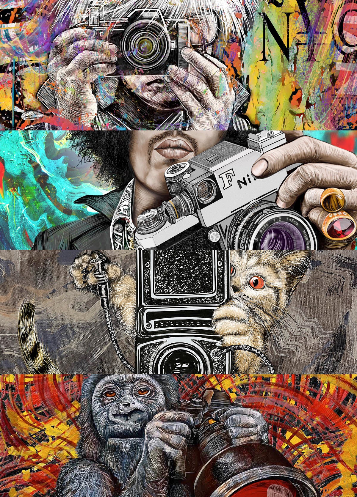 Camera Collection Cover