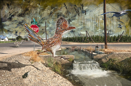 Larue Road Runner mixed media art by Doug LaRue