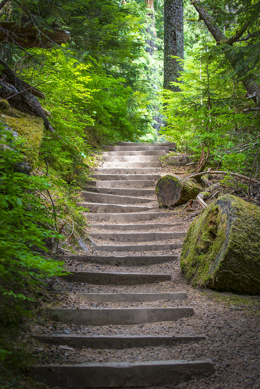 Saint Helens Stairway photograph by Doug LaRue