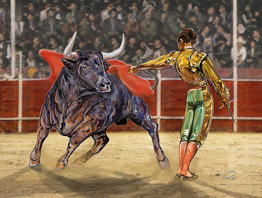 Matadore y Toro