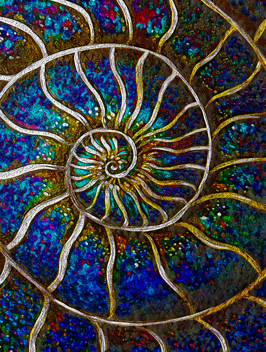 Ammonite a colorful abstract painting by Doug LaRue
