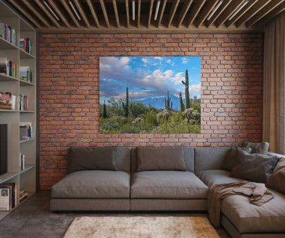 Arizona Cactus Mountains by Doug LaRue on a red brick wall in a living room