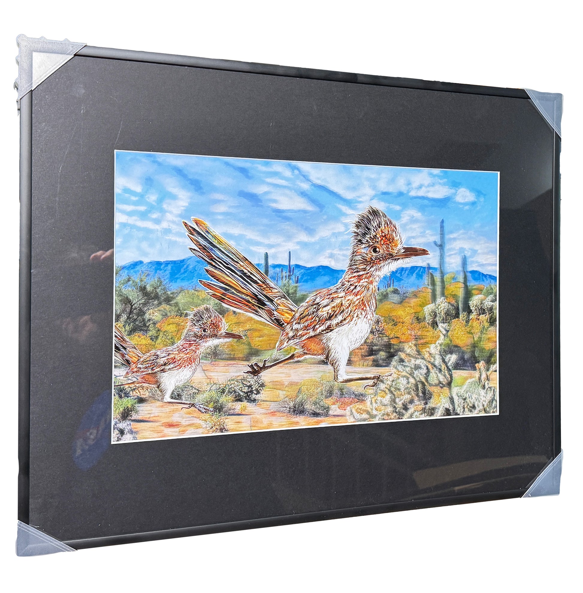Arizona Roadrunner by Doug LaRue 16x20x1 metal frame