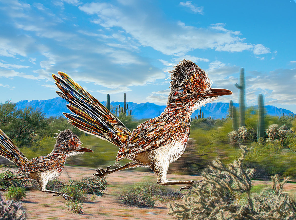 Arizona Roadrunner by Doug LaRue