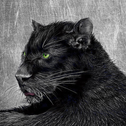 Black Panther Green Eyes by Doug LaRue