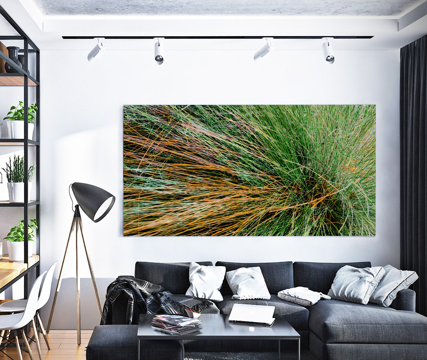 Long Grass photograph by Doug LaRue on a living room wall over a black couch