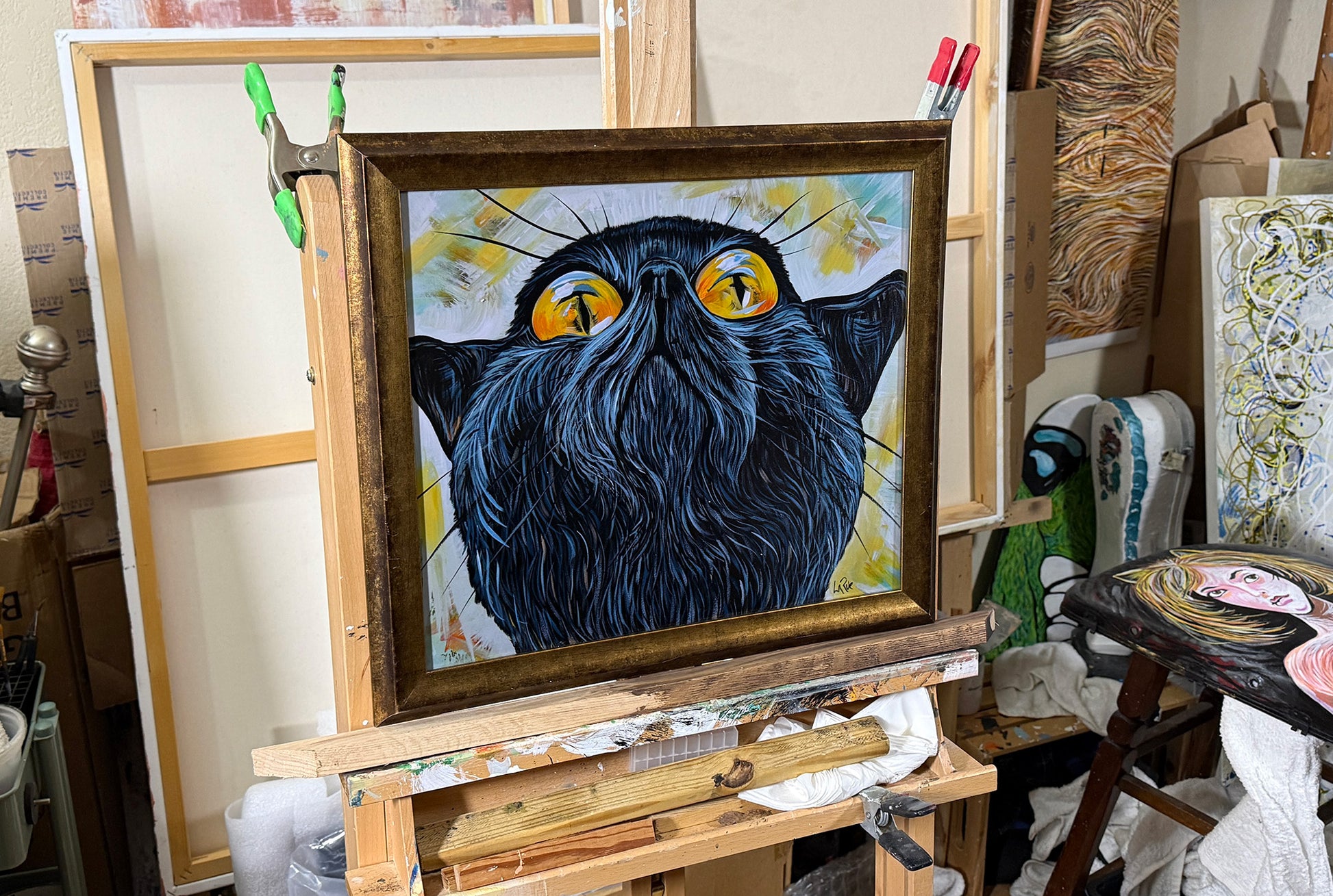 Sky Gazer 14x17 framed print