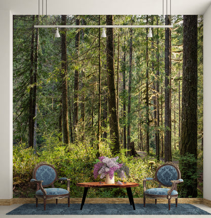 Trees Washington photograph by Doug LaRue mural behind two victorian chairs