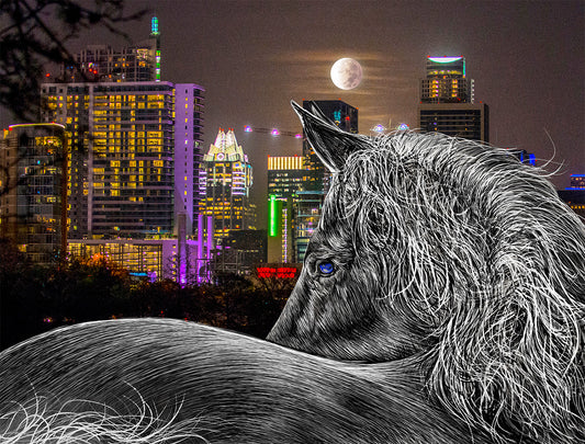 White Horse Austin Texas with city skyline at night